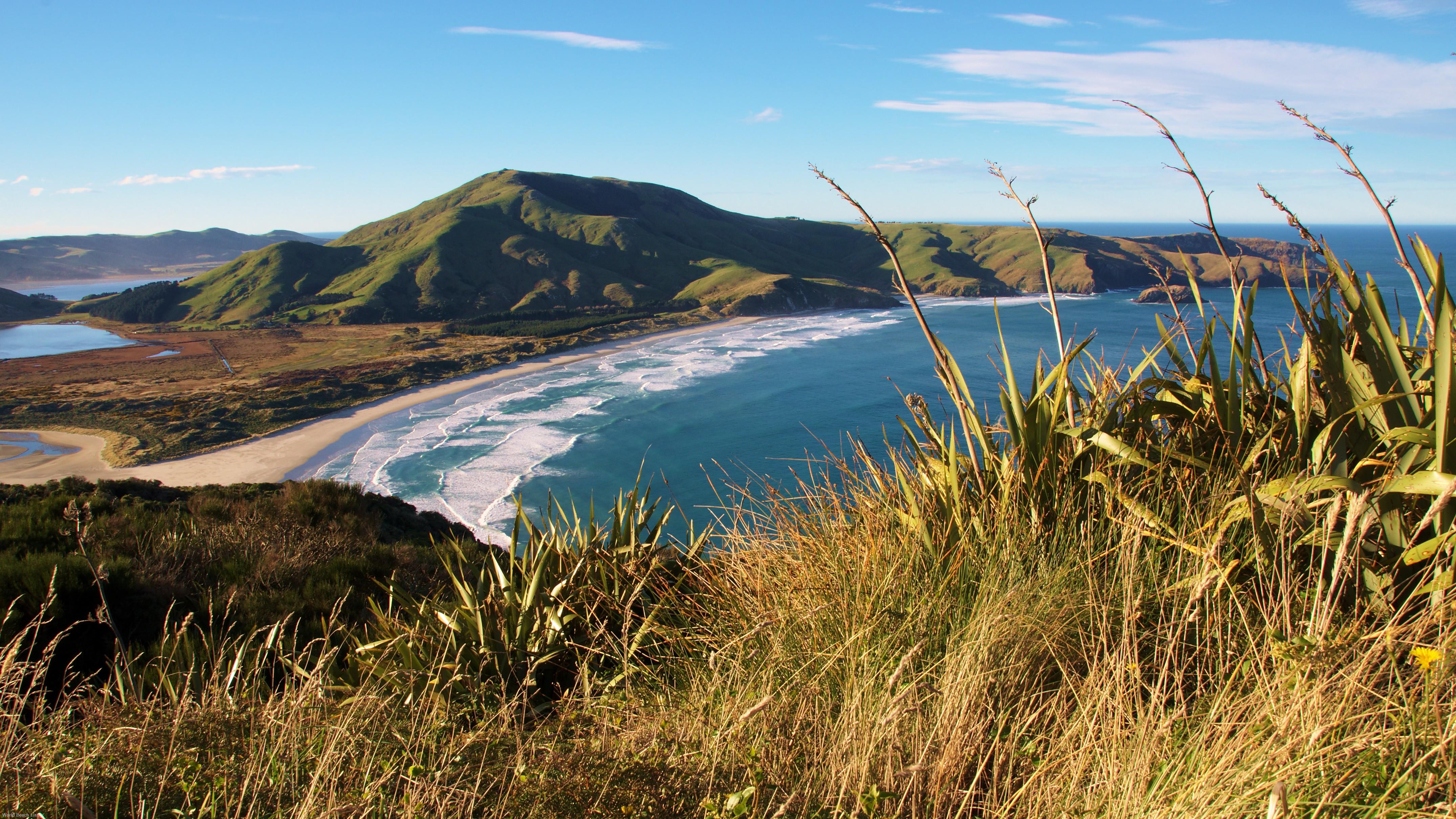 Allans Beach, Mount Charles, and Cape Saunders