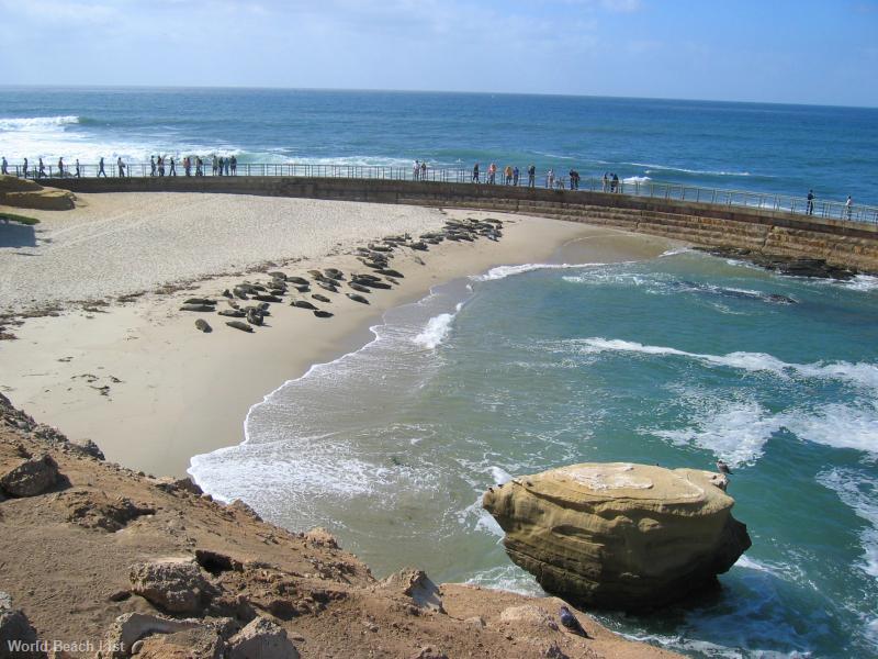 Children's Pool Beach