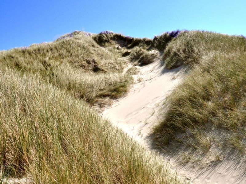 Tall dunes created by wind from west
