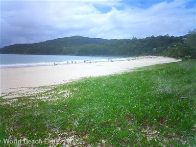Noosa Beach
